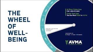 Wheel of Wellbeing: Wellbeing Tips for the Entire Veterinary Team