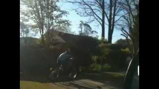 Magpie Madness Part 3:The Dive Bombing Of Magpie