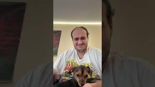 Coco the dog