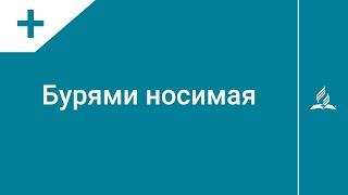 №270 Бурями носимая | Караоке с голосом | Гимны надежды