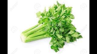 Celery 101-Nutrition & Health Benefits