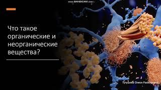 5 класс  Что такое органические и неорганические вещества