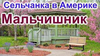 Сельчанка в Америке.Мальчишник.Буфет