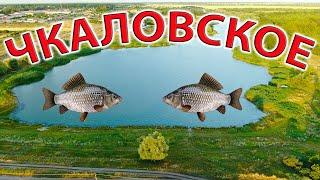 ПРУД ЧКАЛОВСКОЕ обзор С ВЫСОТЫ, рыбалка в Харьковской области, карасевый пруд Харьков, Харьковская..