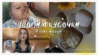 Когда вводить кусочки в прикорм? / Меню ребёнка в 7-8 месяцев / какое детское питание я даю?