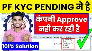  PF KYC New Update 10/12/2024 | PF Bank KYC Approve kaise kare 2024 | PF KYC Kaise kare 2024 #pfkyc