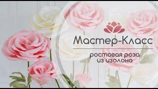 Бесплатный Мастер-Класс ростовая РОЗА из ИЗОЛОНА