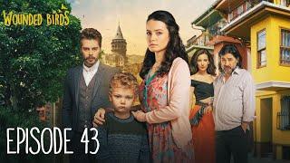 Wounded Birds - Episode 43 - [Multi Lang. Subtitles] Turkish Drama | Yaralı Kuşlar 2019