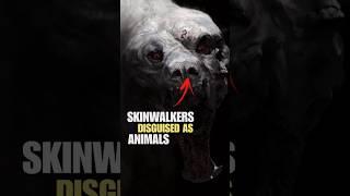 Skinwalkers disguised as animals #animals #scary #facts #skinwalker #dog