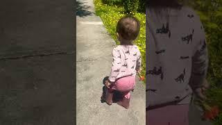 street cleaning with new pink fit  #zully #cute #toddlers