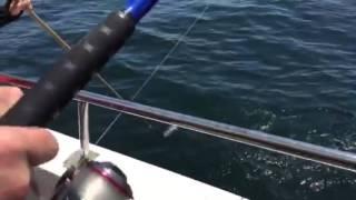 Party boat fishing Belmar NJ 2015