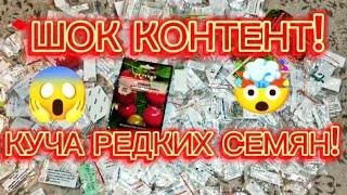 ЭКСТРЕННЫЙ ОБЗОР СЕМЯН ТОМАТОВ, ПЕРЦЕВ И ДР.ОЧЕНЬ МНОГО!ОЧЕНЬ РЕДКИЕ!ПОДАРОК ОТ АННЫ!