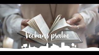 Psalm 716 Namnet Jesus aldrig mister