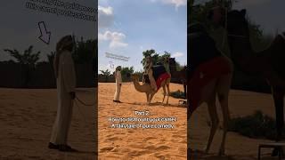 Dismounting just as gracefully as I mounted (original video earlier this week)‍️#desertsafari