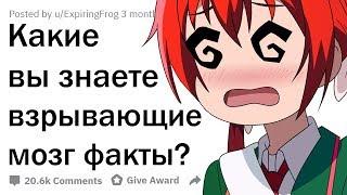 БЕЗУМНЫЕ ФАКТЫ, КОТОРЫЕ УДИВЯТ ДАЖЕ ТЕБЯ