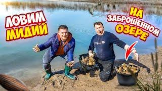 ЛОВИМ МИДИЙ РУКАМИ НА ЗАБРОШЕННОМ ОЗЕРЕ!