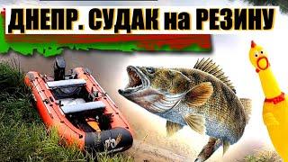 Рыбалка на реке Днепр | Ловля СУДАКА на резину