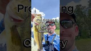Top Bass Baits to Prioritize Catch Quantity #bassfishing #fishing #fishingtips #bassbaits