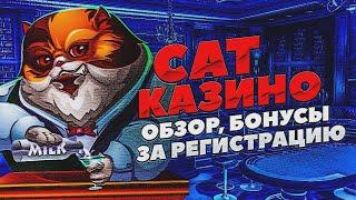 Cat casino с лучшими бонусами при регистрации   Казино Сat промокод в 2024 году