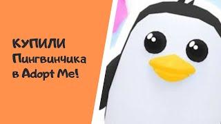 ПОКУПАЕМ ПИНГВИНЧИКА в игре Роблокс Adopt Me!