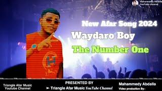 New Afar Song 2024  Waydaro Boy | The Number One  #QusbaGada #AfarSong #AfarMusic #Afar