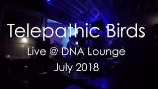 Telepathic Birds – "Myth" (Beach House Cover) – Live @ DNA Lounge (July 2018)