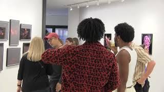 Webster Insider: 2024 Senior Exhibit