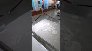 A Glimpse into the National Museum of Tajikistan | Dushanbe’s Cultural Treasure