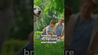 Pawsome Moments  A Dog's Life #mansbestfriends
