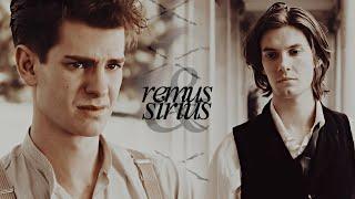 Sirius & Remus | I miss you, I'm sorry