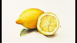 Watercolor Realistic Lemons Painting Tutorial