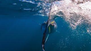 Jigging for Giant Bluefin Tuna | Cape Cod, MA | S20 E07