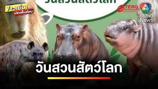 คึกคัก ! แห่ชมหมูเด้ง “วันสวนสัตว์โลก” เข้าฟรี 7 แห่ง ทั่วไทย | ข่าวเย็นประเด็นร้อน