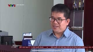 QUẢNG NAM: CHUYỂN BIẾN MẠNH MẼ TRONG PHÁT TRIỂN DU LỊCH XANH | VTV8