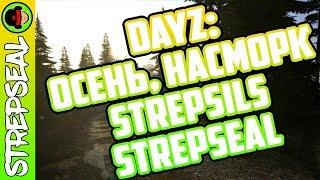 DayZ: Осень, насморк, Strepsils, StrepSEAL))