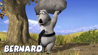 Rock Break AND MORE | Cartoons for Children | Full Episodes | Bernard Bear