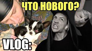 VLOG: КОНФЕТНЫЙ КОНФЛИКТ. ПЛАН – "ПРЕВЕНТИВНЫЙ УДАР"