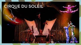 Unforgettable Acts from Varekai & Quidam | Cirque du Soleil