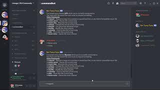 Discord   Музыкальный  Бот