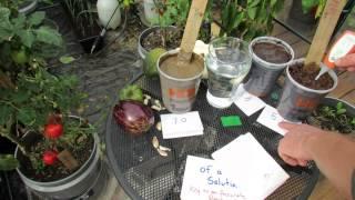 What is Vegetable Garden Soil pH and How to Use a Digital pH Meter - The Rusted Garden 2013