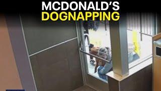 DOGNAPPING: 2 women caught on camera stealing man's dog