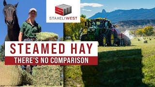 Superior Hay Quality: Exploring Steamed Hay with Haley Ruffner at Aden Brook