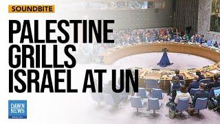 Palestine challenges Israel: Will you accept UN resolutions? | Dawn News English