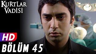 Kurtlar Vadisi - 45.Bölüm | FULL HD YENİ