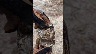 It's a can, but what kind? #metaldetecting #treasure #geography