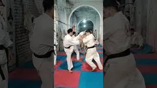 Kyokushin Kan karate training
