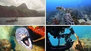 SeaLife Underwater Cameras | Scuba Diving the Island of Dominica with the Latest SeaLife Gear