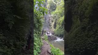 Terletak ditengah hutan tropis , Melanting , salah satu waterfall terbaik di Bali .#bali #travel