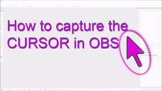 How to Capture Cursor in OBS