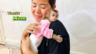 Monkey Tina hugged her mother tightly to thank her for the gift she gave her.